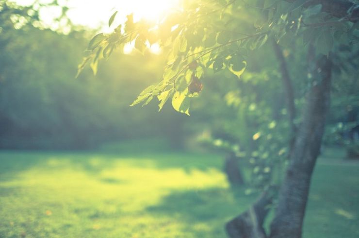 ロカヒオープニング記念第2弾・カウンセリングヒーリング60分