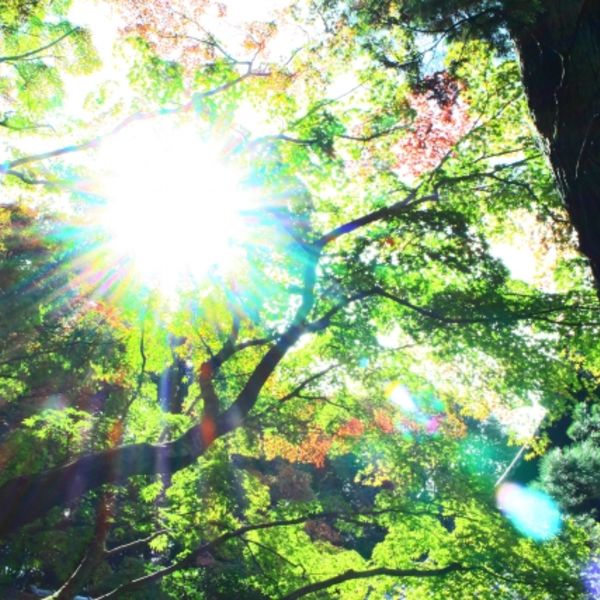 職場関係でお悩みの方、ストレスをため込んでいませんか？一人で悩まずにご相談ください。