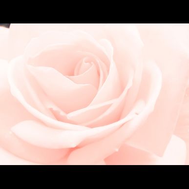 2019.9.2 移転オープン！！