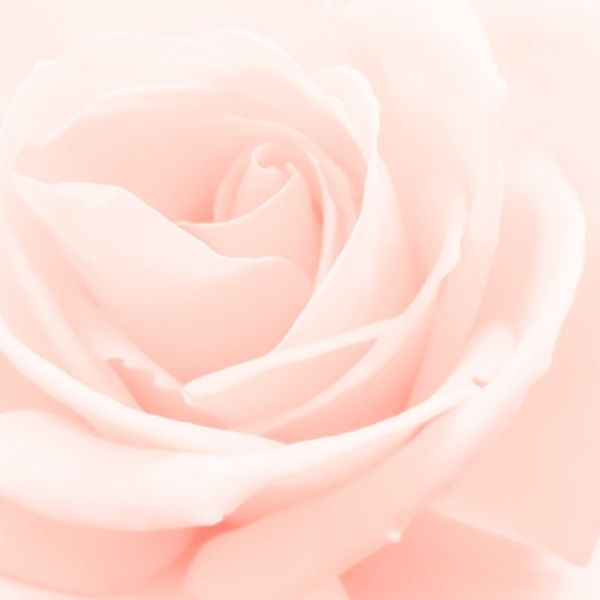 2019.9.2 移転オープン！！